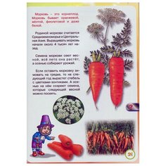 Веселый огород, Наталья Томилина, Знаток (книга для говорящей ручки)