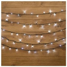 Гирлянда NEON-NIGHT 303-045, 80 ламп, белый/зеленый провод