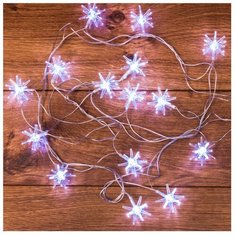 Гирлянда NEON-NIGHT 303-036, 20 ламп, белый/прозрачный провод