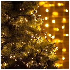 Гирлянда NEON-NIGHT Кластер, 303-626, 300 см, 288 ламп, теплый белый/темно-зеленый провод