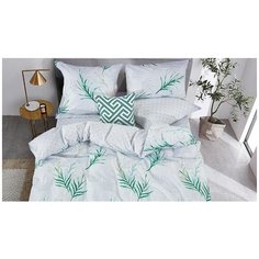 Постельное белье семейное Cleo Pure cotton 160-PC, поплин, 2 наволочки 70 х 70 см, белый/зеленый