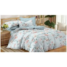 Постельное белье семейное Cleo Pure cotton 154-PC, сатин, 2 наволочки 70 х 70 см, голубой