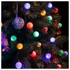 Гирлянда NEON-NIGHT 303-569, 25 ламп, мультиколор/зеленый