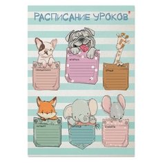 Расписание уроков А4,1л, 4 вида 2-017 12 шт. Альт