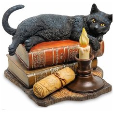 WS-843 Статуэтка Кот на книгах (Лиза Паркер) Veronese