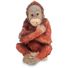 WS-799 Статуэтка Детеныш орангутанга Veronese