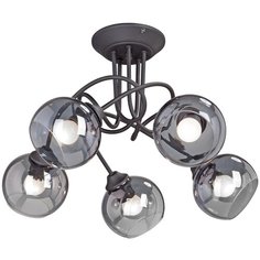 Потолочная люстра Vitaluce V4309-1/5PL