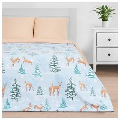 Постельное белье 2-спальное Этель Зимнее волшебство, бязь, 2 наволочки 70 х 70 см, бежевый/голубой