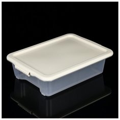 Контейнер для хранения Porter 8 л, цвет слоновая кость 4407573 Berossi