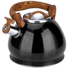 Чайник металлический Rainstahl RS - 7696-30, объем 3,0л. Цвет: черный