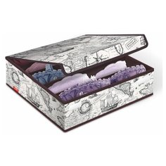 Органайзер для хранения белья (бюстгальтеров) с крышкой, 5 секций, 32*32*12 см, EXPEDITION Valiant