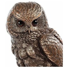 Статуэтка Сова на книгах WS- 86/ 1 113-902895 Veronese