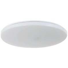 Потолочный светильник Arti Lampadari Bianco E 1.13.49 W, 250 Вт
