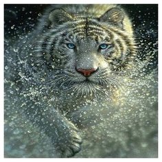 Картина мозаикой 30х30 тигр (квадрат) (19 цветов) - KM0215 Molly