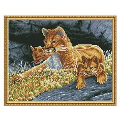 Алмазная мозаика с нанесенной рамкой 40х50 урок наблюдательности (19 цветов) - KM0637 Molly