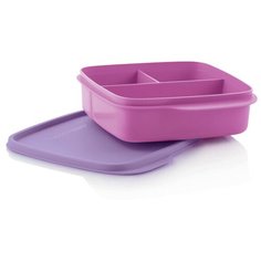 Контейнер Школьник фиолетовый 550 мл Tupperware