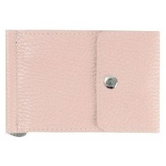 Зажим для денег Richline ЗМГ531-Никель/Пудра