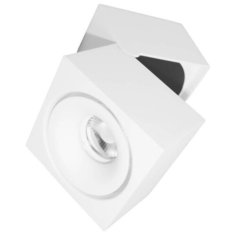 Светодиодный спот Lumina Deco Edford LDC 8056-GYN-10WCOB D100*W110 WT