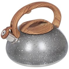 Чайник из нержавеющей стали Daniks DSC-8799 серый со свистком, 3 л