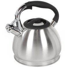 Чайник из нержавеющей стали Daniks GS-04511 со свистком, 3 л