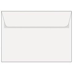 Конверт Ряжская печатная фабрика С5НКс C5 (162 х 229 мм)