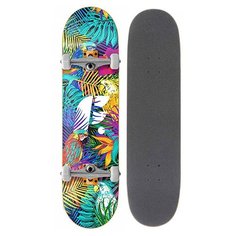 Комплект скейтборд Footwork Tropical 2021