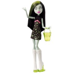 Кукла Monster High Школьная ярмарка Скара Скримс, 26 см, CHW73
