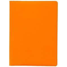 Органайзер для документов формат А5 / 26х20 см Richline ПДГ-401/Оранжевый