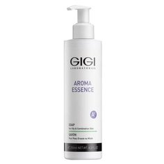 Жидкое мыло для жирной кожи лица GiGi Aroma Essence Soap 250 мл