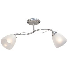 Потолочная люстра Vitaluce V3947-9/2PL