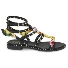 Сандалии ASH Pax , размер 36 , черный/желтый