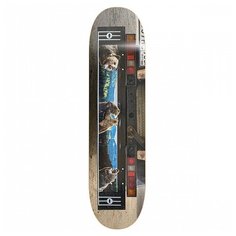 Дека скейтборд Абсурд GazelistS Dream Bears 2021