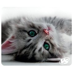 Коврик VS Cat (B4649) Кот