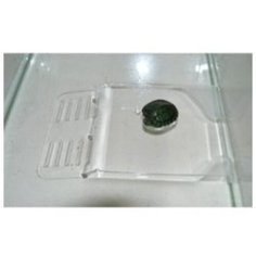 Пл-3 плотик для черепашек (установка на дно аквариума большой) h 5*19*24см (2 шт) Вака