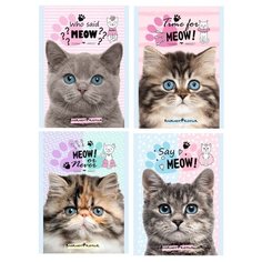 Блокнот в клетку Проф-пресс, А6, 32 листа (голубоглазые котята)