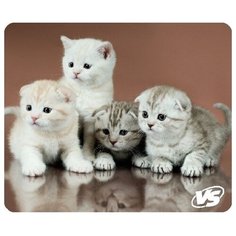 Коврик VS Cat (B4650) Кот