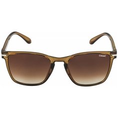 Очки солнцезащитные ALPINA Yefe Brown(прозрачный-коричневый)
