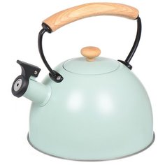 Чайник из нержавеющей стали Daniks MSY-078 ментоловый со свистком, 3 л