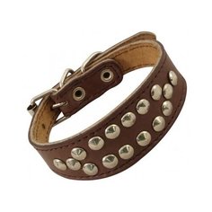 Ошейник 14/40-340 кожа двойной «такса» заклёпка цветной гамма /10/ (2 шт) Gamma