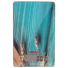 Кухонные весы ARESA AR-4309, 5 кг