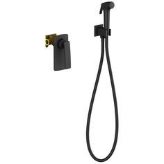 Смеситель с душевой лейкой встраиваемый Timo 4089/03SM черный