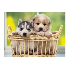 Алмазная мозаика "Два щеночка в корзине" Рыжий Кот DL009/РК