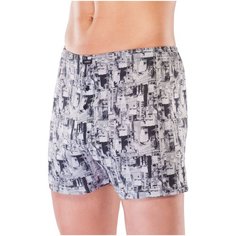 Lowry Трусы шорты классической посадки, размер L, серый