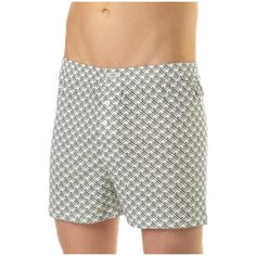 Lowry Трусы шорты классической посадки с рисунком, размер M, молочный