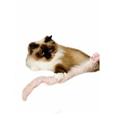 Игрушка для кошек Japan Premium Pet пушистая дразнилка в виде зайца для кошки, розовый