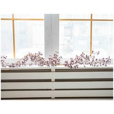 Гирлянда заснеженная ЯГОДЫ ШИПОВНИКА, 180 см, Edelman