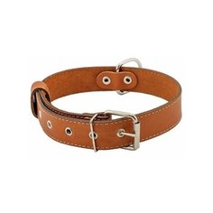 Ошейник Дарэлл Стандарт безразмерный 30 мм, обхват шеи 62 см коричневый