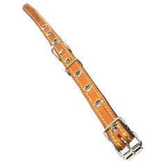 Ошейник Дарэлл Стандарт безразмерный (010116), обхват шеи 40 см рыжий