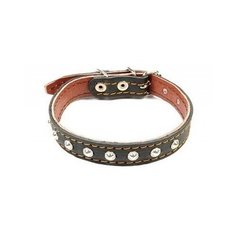 Ошейник Зоотехнология-М 15116, длина ошейника 45 см черный