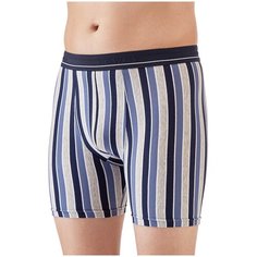 Lowry Трусы боксеры классической посадки, размер XXXL, серый/голубой